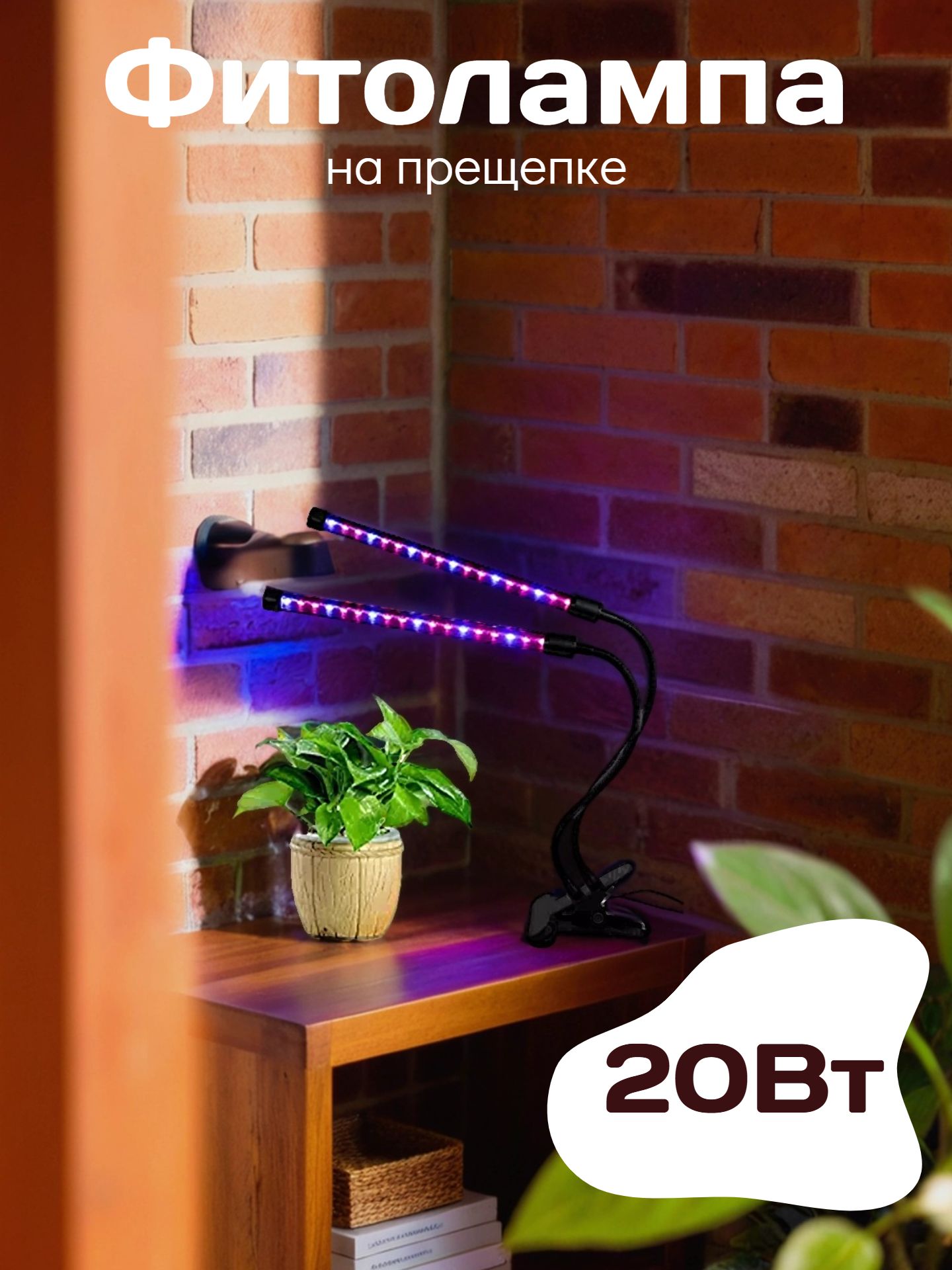 128073-1