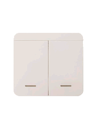 Радиовыключатель 2-кл. 12V27A 433Mhz