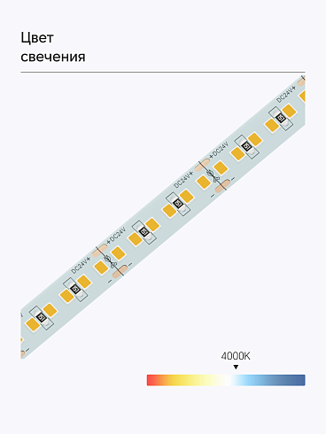684664-2