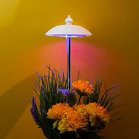 Фито светильник Kurato грунтовый 1 лампа 50Вт, розовый/фиолетовый