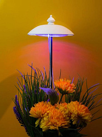 Фито светильник Kurato грунтовый 1 лампа 50Вт, розовый/фиолетовый