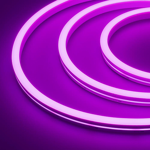 Neon_Purple_1